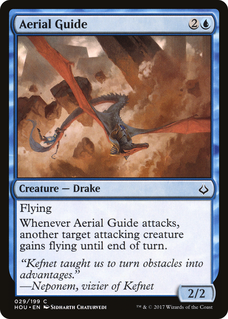 Aerial Guide (HOU-029)