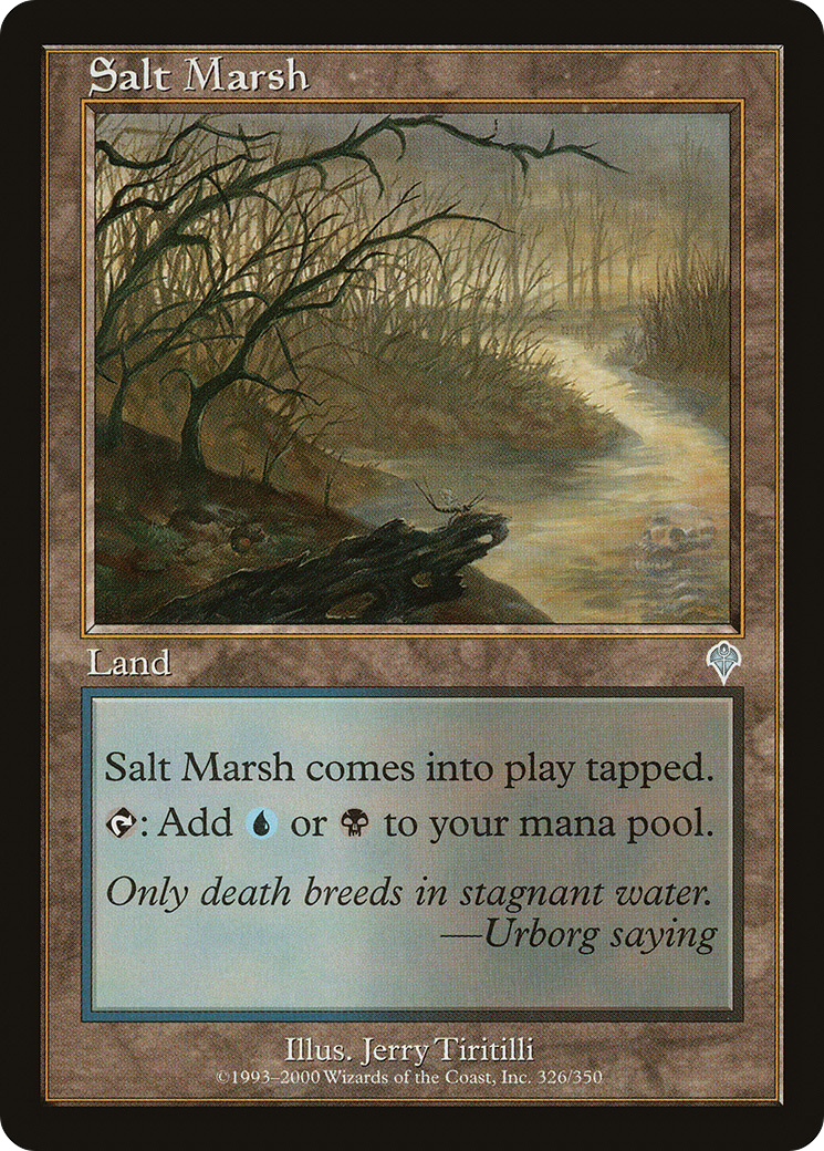 Salt Marsh (INV-326)